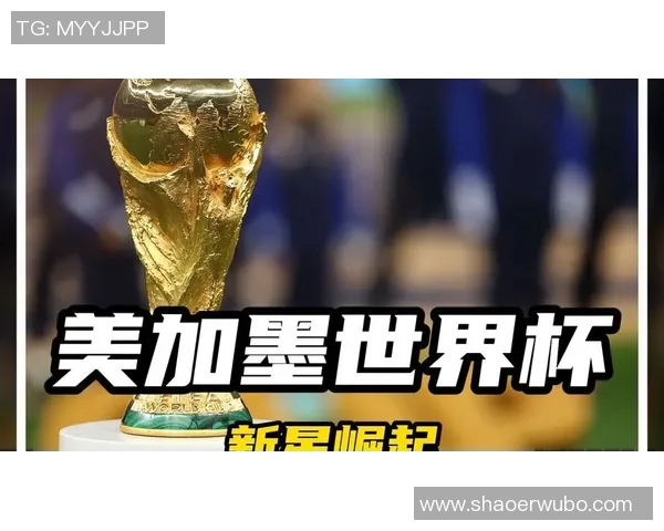 足球明星携手打造梦想国度足球文化盛宴的崛起与发展